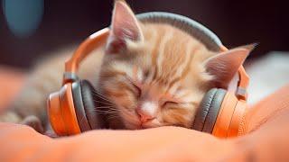 Calming Music for Anxious Cats: Soothing Sounds for Deep Relaxation and Sleep