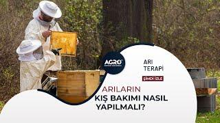 Arıların Kış Bakımı Nasıl Olmalı? | Arı Terapi