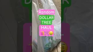 Some FUN finds @dollartree ️ #dollartreehaul #dollartreehauls #dollartreeshopping #haul #hauls