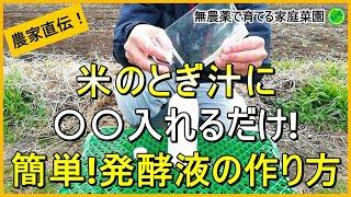 【米のとぎ汁】液肥にも病気予防にもなる発酵液の作り方【有機農家直伝！無農薬で育てる家庭菜園】　24/1/6