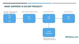 What Happens in an SAP Project?