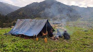 This Is Shepherd Life||Most Relaxing Shepherd Life||Rural Nepali Himalayan Life||Best Rural Life||