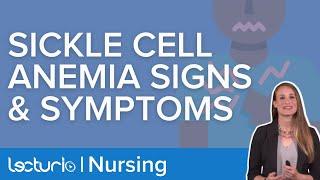 Sickle Cell Anemia Signs and Symptoms | Lecturio Nursing Pediatrics