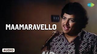 Maamaravello - Audio Song | Devara Gudi | Rajan-Nagendra | S.P. Balasubrahmanyam