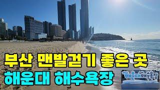 해운대 해수욕장 맨발걷기 ｜ 부산 최고의 맨발걷기 명소 ｜ 바닷가 어싱