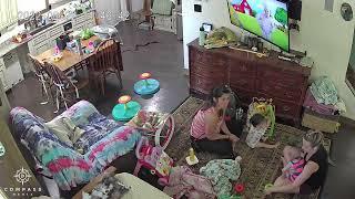 Kid Spots Snake in House, Sends Mum Running