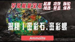 [130] 揭秘罕見的能量寶石：斑彩石 和 斑彩螺 Ammolite | 起源，功效 ，脉轮，如何挑选，禁忌和保养