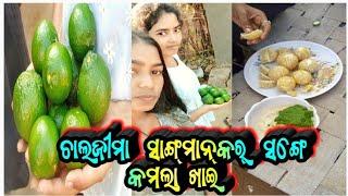 Chala Jima Sangmankar Sange Kamala Khai||sambalpuri vlog video||