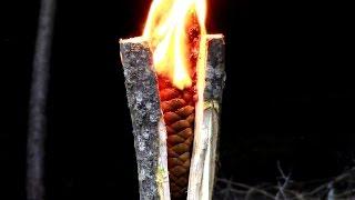 Survival- Emergency Tree Resin Torch