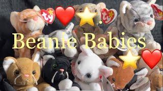 Top 10 Best Beanie Baby Kitty Cats