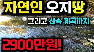 계곡물이 철철 넘치는~자연인 오지땅매매, 단돈2900만원~유실수,더덕식재,농막유전체 계획관리지역 ~나만의 계곡 쉼터 경북 영덕땅 매물 -세상사는 부동산-