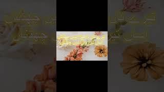 Tairay Nam da khehra nahain chadna #381 #naatsharif