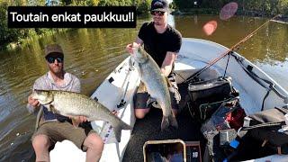 Toutaimia kalastamassa | +5kg kalaa ja enkat paukkuu! | #KALASSA25