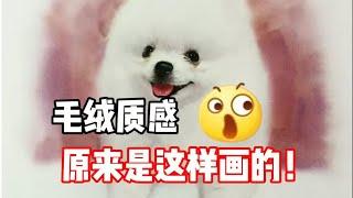 毛绒质感怎么画？水彩教程