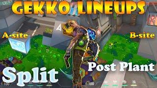 Top 15 Split Gekko Post Plant Lineups | Gekko Lineups Split | Gekko Mosh Pit (Molly) Split