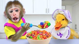 Bibo Monkey Spend 24 Hours to Take Care of Cute Duck and Go Swimming Pool | KUDO ANIMAL BIBO