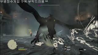 50, 드래곤즈 도그마, Dragon's Dogma, 보스전!!!, #드래곤즈도그마 #무병장수게임