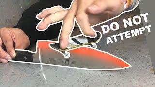 EXTREME FINGERBOARDING