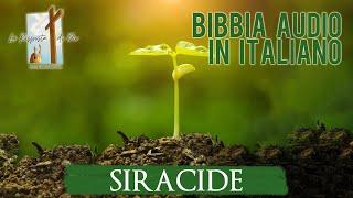 La Bibbia in Audio - SIRACIDE - Traduzione Italiana Cattolica (Versione CEI 2008)