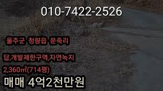 울산시  울주군  청량읍  문죽리  답 매매