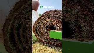  Descubra as Vantagens da Grama em Big Roll! 