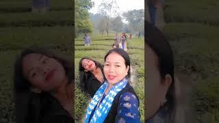 Himachal ki chai ki Bagan#youtubeshort #video