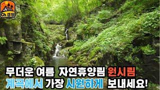 무더운 여름 가장 시원하게 보내는 방법 중 한가지 자연휴양림 계곡추천 / 계곡 물놀이 / 계곡 나들이!(ft.백운산자연휴양림)