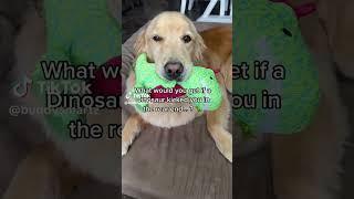 What do you think of Buddy’s joke of the day? #joke #dog #dinosaur #funnydog #shorts #dogvideo #fyp