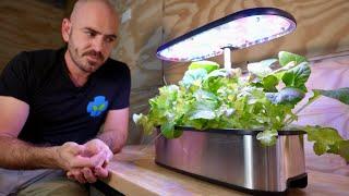 The Perfect Table Top Hydroponic System? LetPot Review