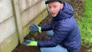 Creating a wildflower patch