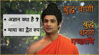 Buddha Teachings | 02 | अज्ञान क्या है ? | माया का द्वैत रूप  | Buddha Serial