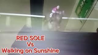 RED SOLE 1:13.2 Last win Feb. 7 , 1,200 Walking on Sunshine 1:14.6 Last win Jan. 22, 1,200  2025..