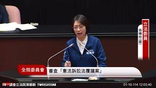 憲訴法覆議 發言 羅智強 黃珊珊 蔡易餘 徐巧芯 鍾佳濱 翁曉玲 吳思瑤 審查憲法訴訟法覆議案 20250110 全院委員會 立法院演哪齣