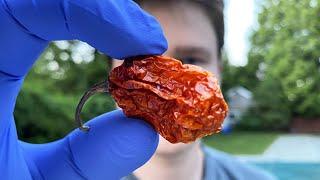 Eating a Ghost Pepper for 1,000,000 subscribers