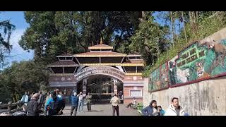 Darjeeling Tour Short Video  ️