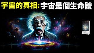 宇宙的真相:宇宙是個生命體,有誕生有衰亡 | 好書解讀《給忙碌者的天體物理學》(相對論,宇宙探秘,宇宙大爆炸,量子力學,萬有引力,宇宙起源)