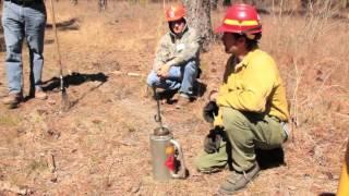 Virginia Forest Landowner Education Program Impact - Sally Taylor