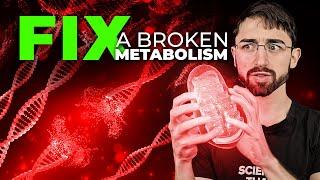 How to Fix a Broken Metabolism