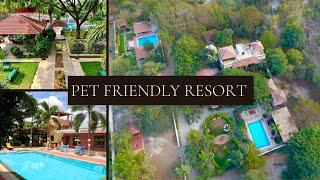 Pet Friendly resort in Hyderabad #petfriendly #Buttoneyesresort #hyderabadrestaurants  #resort