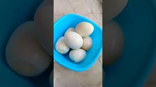 Kadai muttai recipie | How to boil kadai muttai | Boiling of kadai egg in 10mts.#shorts #ytshorts