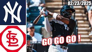 New York Yankees vs St. Louis Cardinals Game Highlights Feb 26, 2025 | MLB Highlights 2025