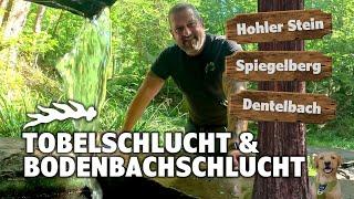 Tobelschlucht & Bodenbachschlucht - Tolle Landschaften bei Spiegelberg | Hohler Stein