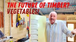 Is this the future of timber?