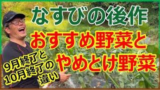 なすびの後作　どうする？おすすめ野菜とやめとけ野菜