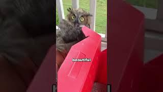 Could You See In His Eyes?