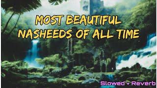 Most Peaceful Nasheeds  Collection - Beautiful Nasheeds | Soul Touching | Slowed Reverb Perfect