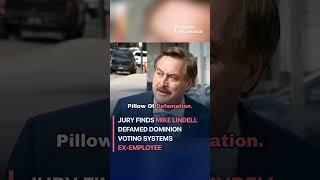 Jury Finds Mike Lindell Defamed Dominion Voting Systems Ex-Employee #crime #law #crisis