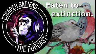 How did the passenger pigeon become extinct? | Ben Novak | Escaped Sapiens Podcast