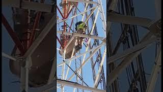 Rigger and Microwave Antenna short video #shorts #pktelecommunications