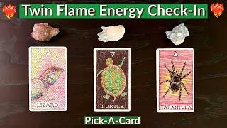 ️️Twin Flame Energy Check-In Reading️Pick-A-Card️